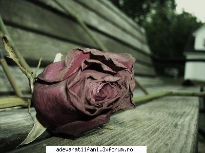 here i am - hy! ma numesc maria alexa am app 16 ani st din - Welcome!